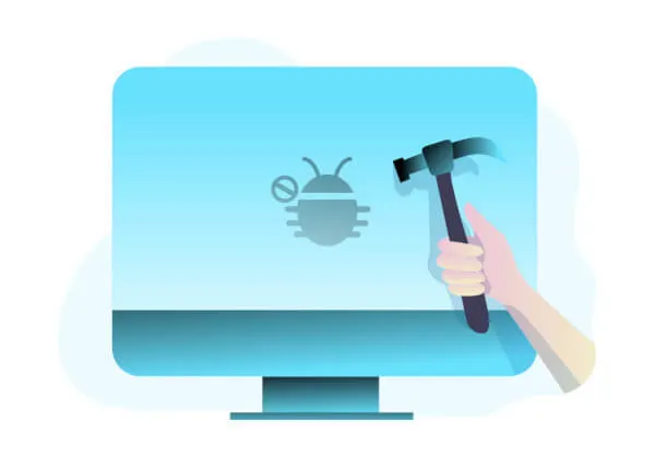 Software maintenance, support and continued product improvement