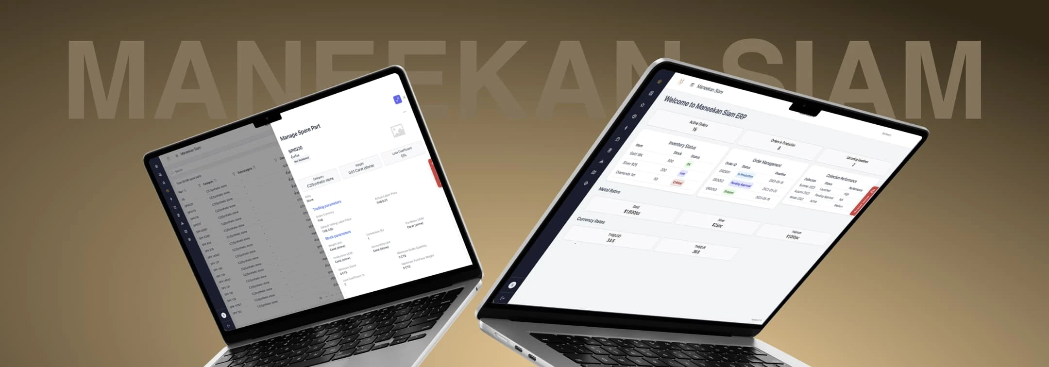 ERP for a Jewelry Manufacturer