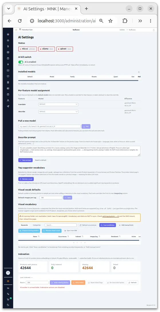 AI settings with local LLM and visual search configuration