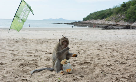 Team trip to the beach