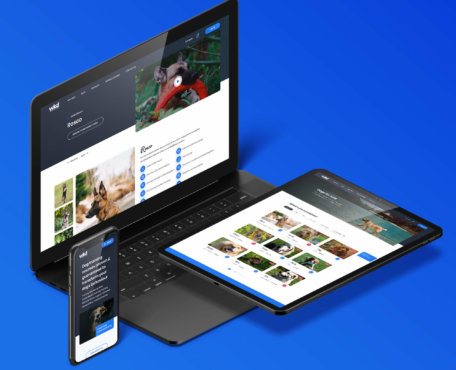 Redesign of a Dog Training Company Website