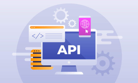 The impact of API-centric approaches on software development